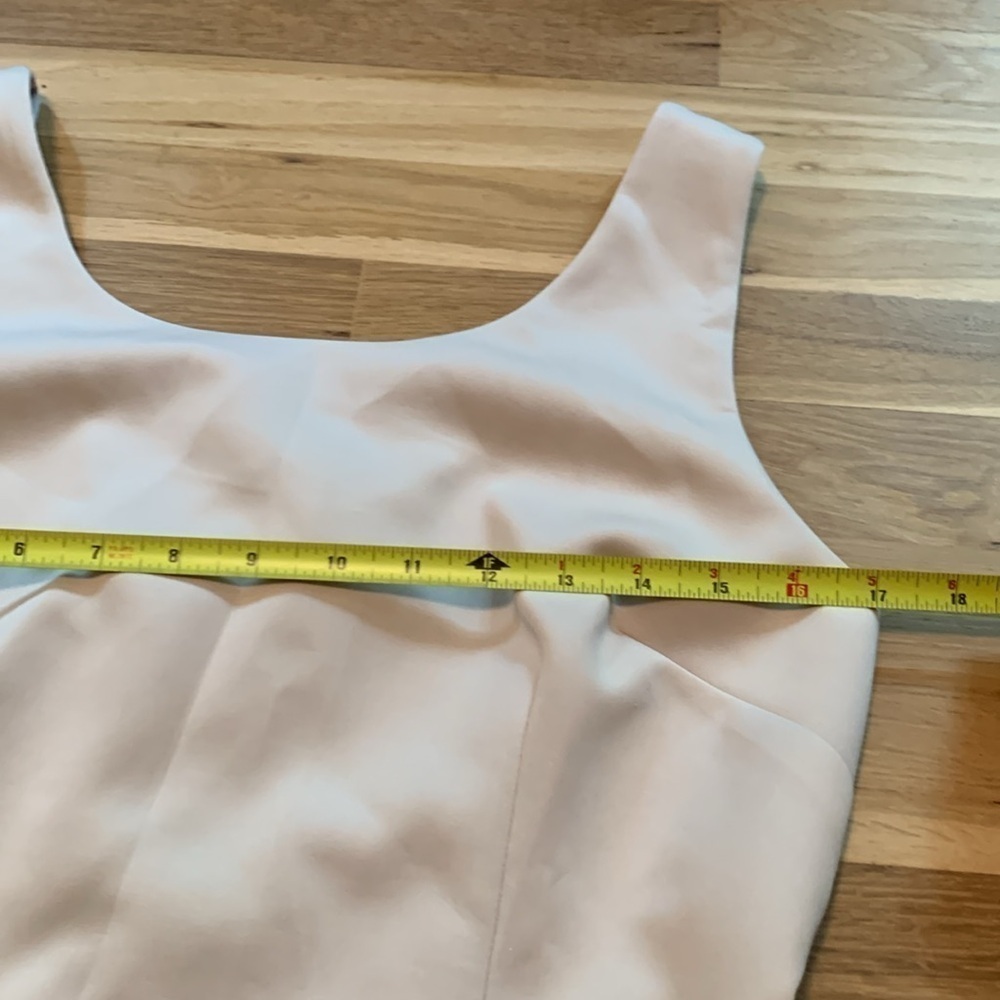 NWT Carmen Marc Valvo Nina Sleeveless Peplum Dress Beige Crystal Women’s 10 - Picture 8 of 15